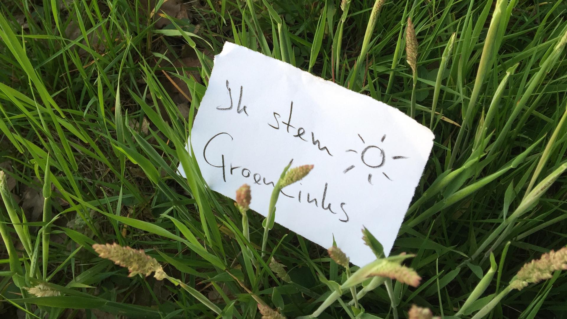 Ik-stem-GroenLinks-gras.jpg