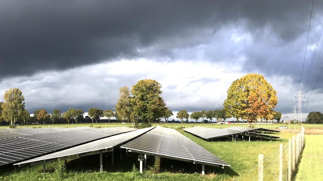 Zonnepanelen weide Rijssen uitsnede