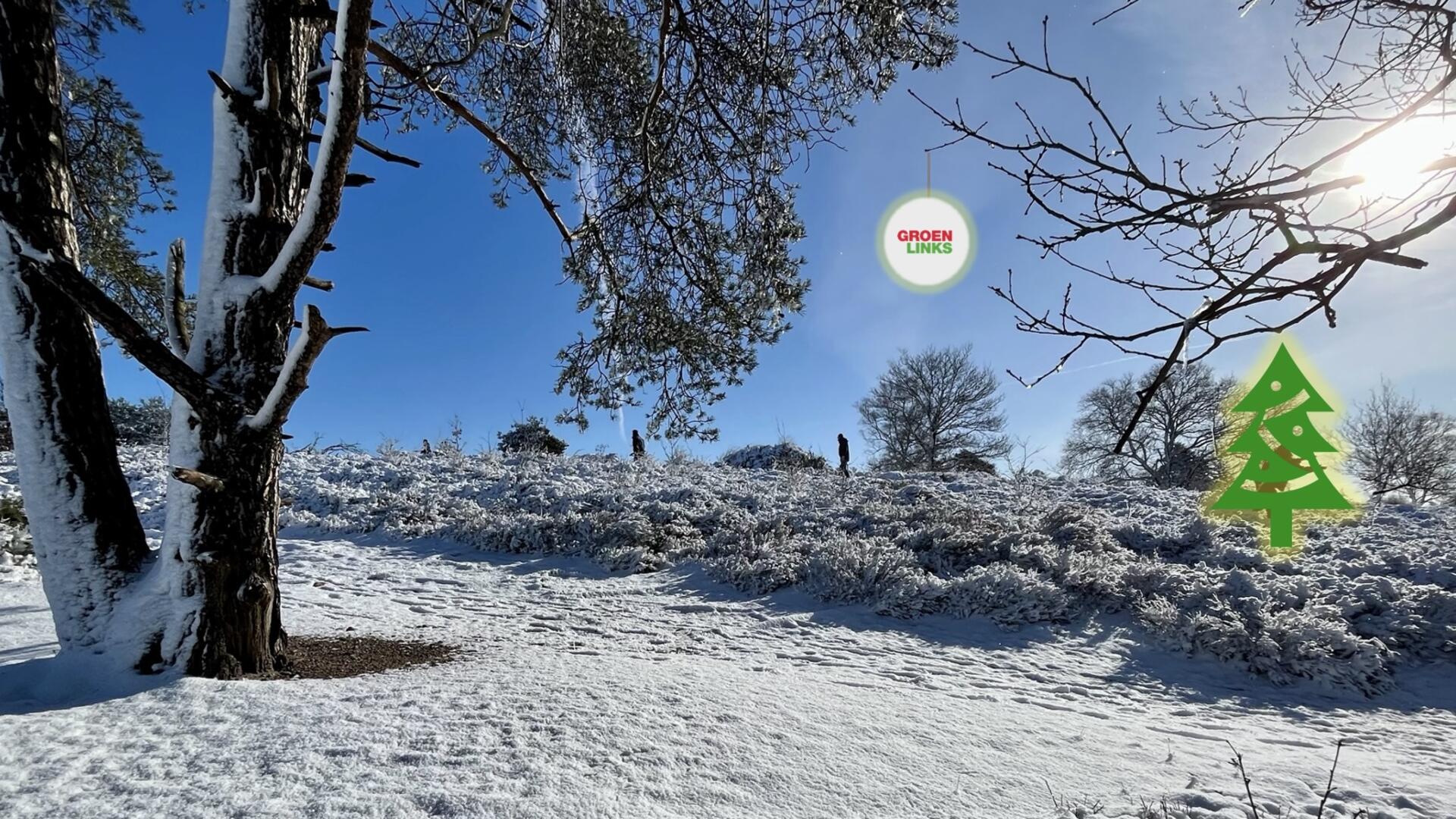 Heide sneeuw kerstgroet