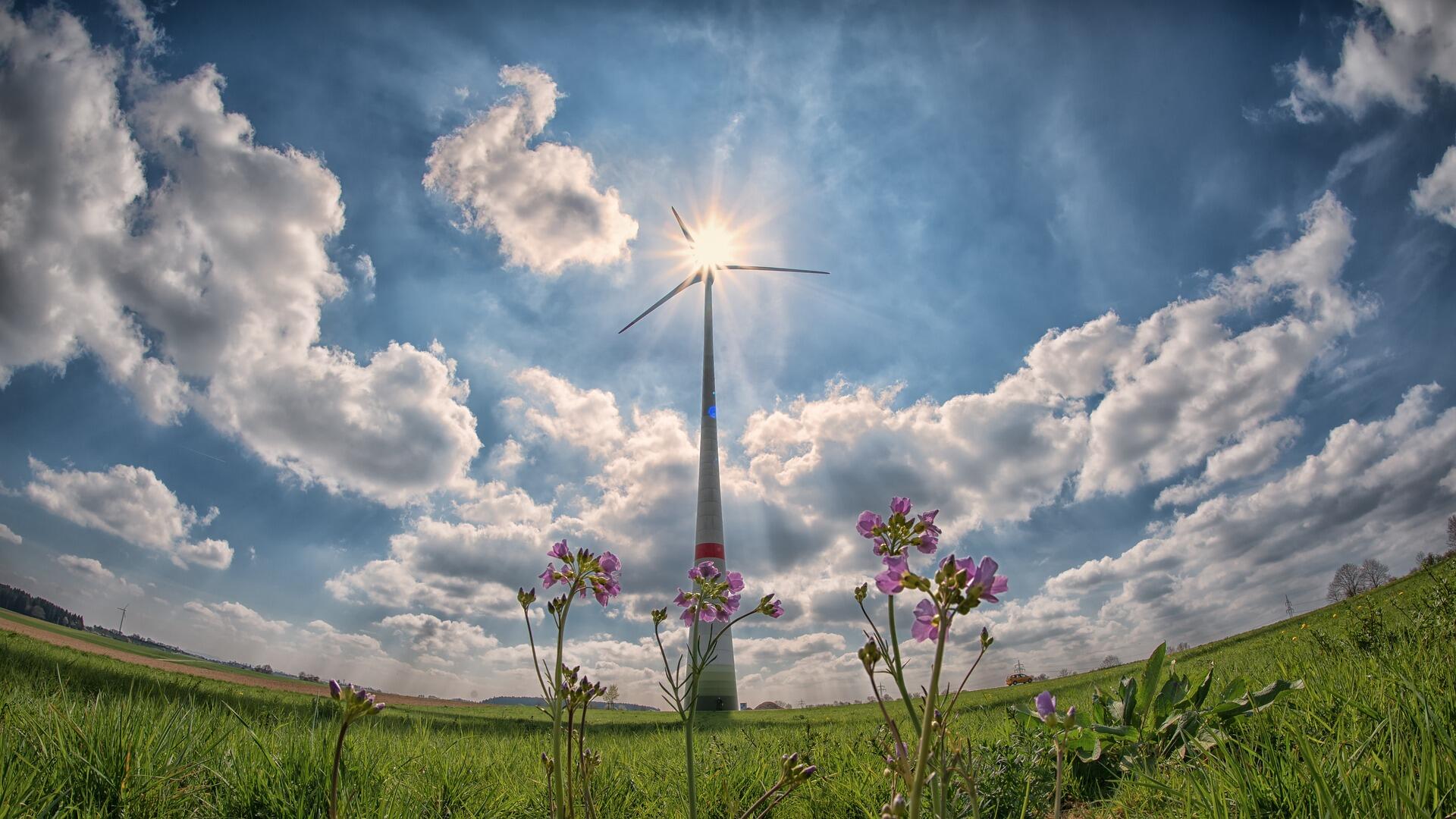 windmolen